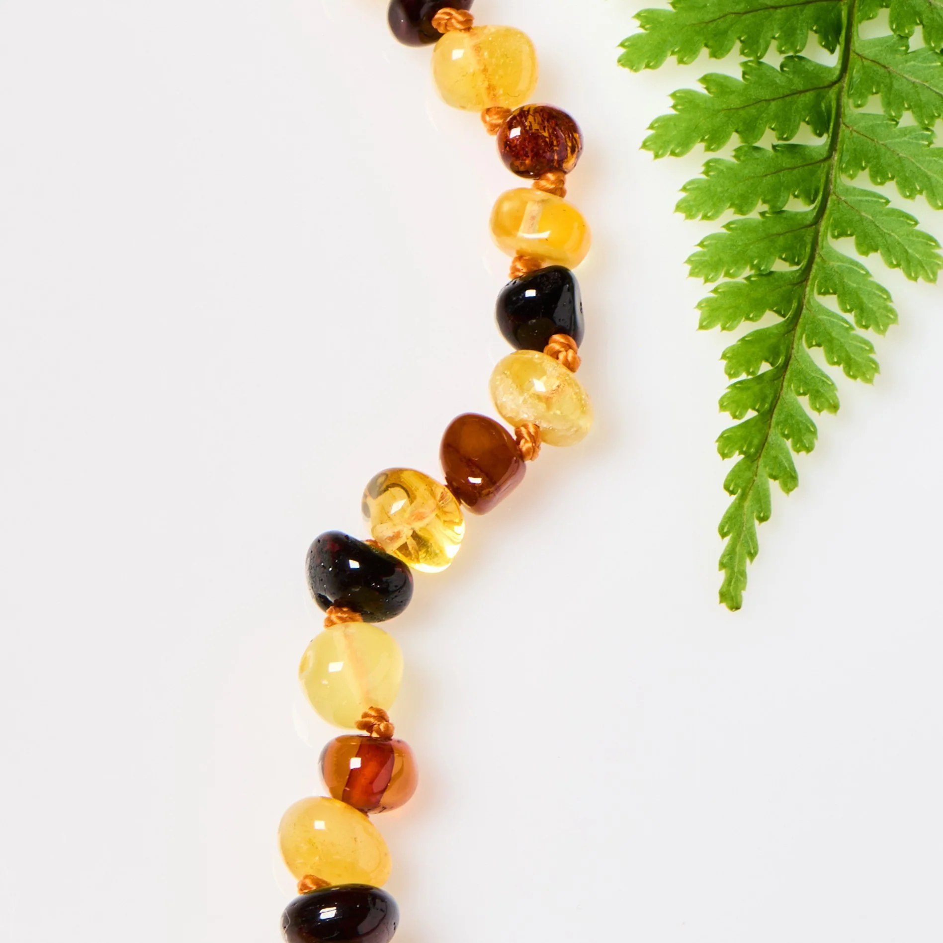 Baltic Amber Necklace - Polished Multicolor - Children's - Image 2